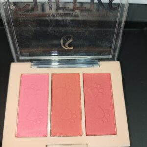 ac6983f9-d8f7-4b44-bbad-0033b54ce1e5 Makeup Matte Finish Powder Blusher for Face Makeup | Highly Pigmented & Long Lasting | Silky Smooth Texture | Easy-To-Blend Formula - SHADE 03, 9gg