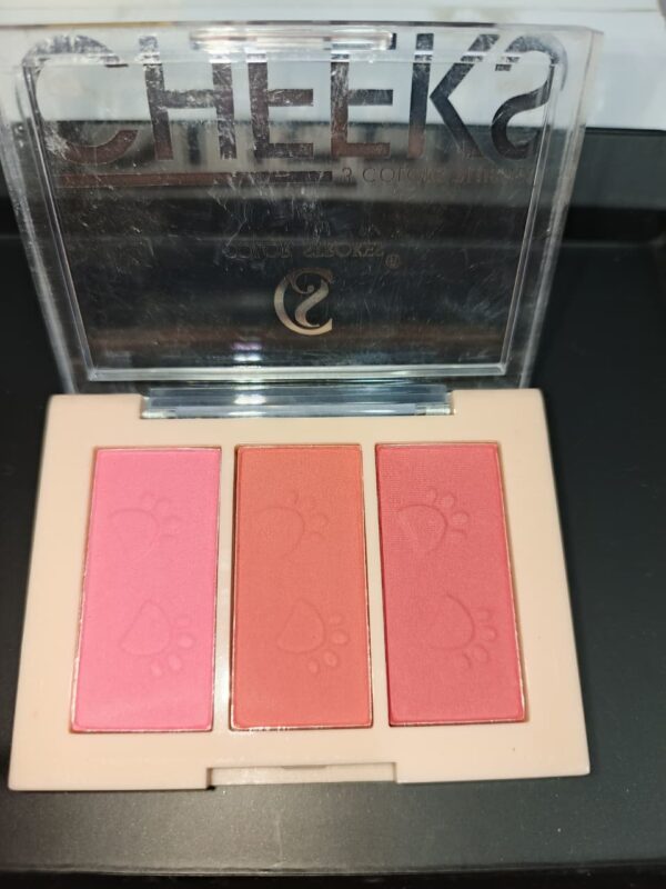 Makeup Matte Finish Powder Blusher for Face Makeup | Highly Pigmented & Long Lasting | Silky Smooth Texture | Easy-To-Blend Formula - SHADE 03, 9gg